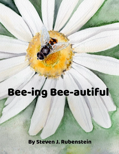 Bee-ing Bee-autiful Book Cover